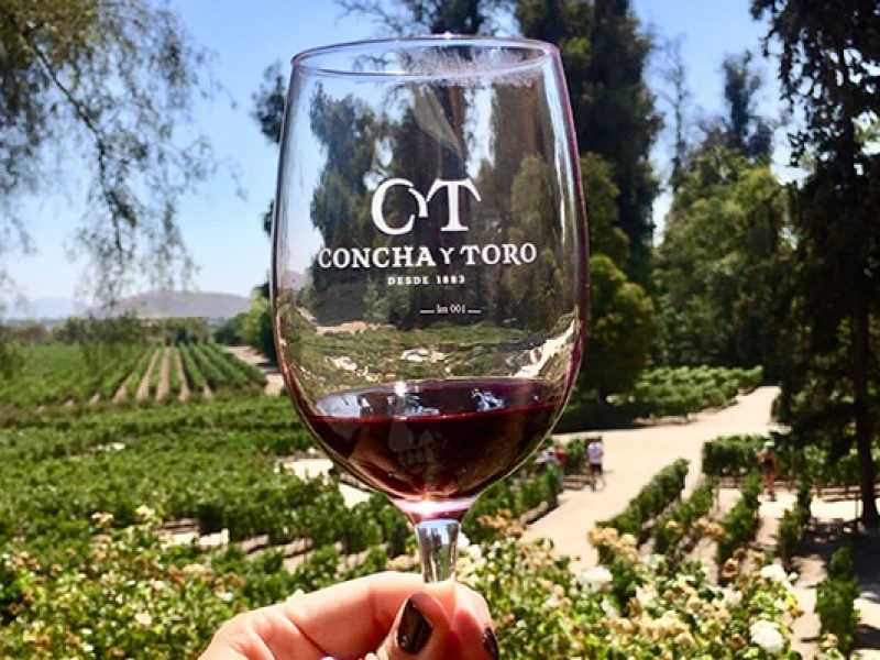 Concha y Toro
