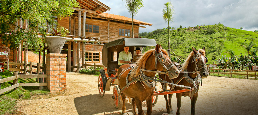 Charrete no resort